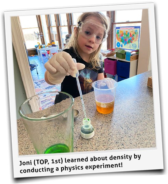 Density Experiment